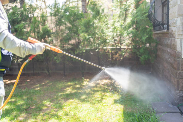 Lawn Pest Control in Northumberland, PA